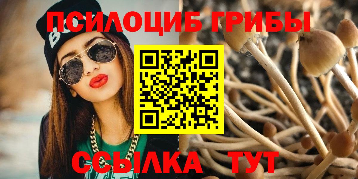 Псилоцибиновые грибы GOLDEN TEACHER  Вход с VPN  Медногорск 