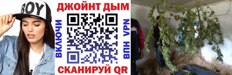 наркота  Медногорск  Бошки Шишки ГИДРОПОН 